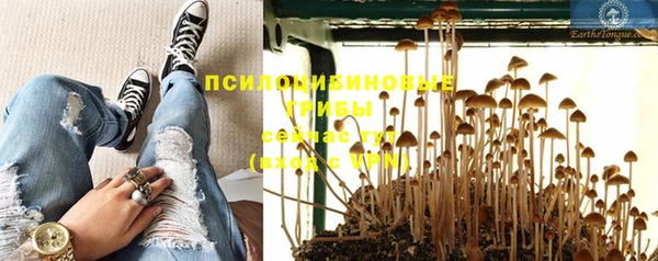 jwh Зерноград