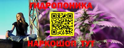 a pvp Новодвинск
