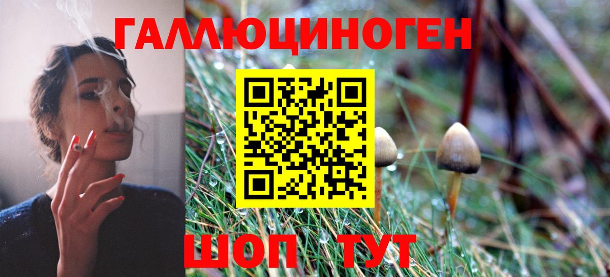 Серпухов  Псилоцибиновые грибы ЛСД  Вход с VPN 